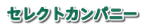 �Z���N�g�J���p�j�[